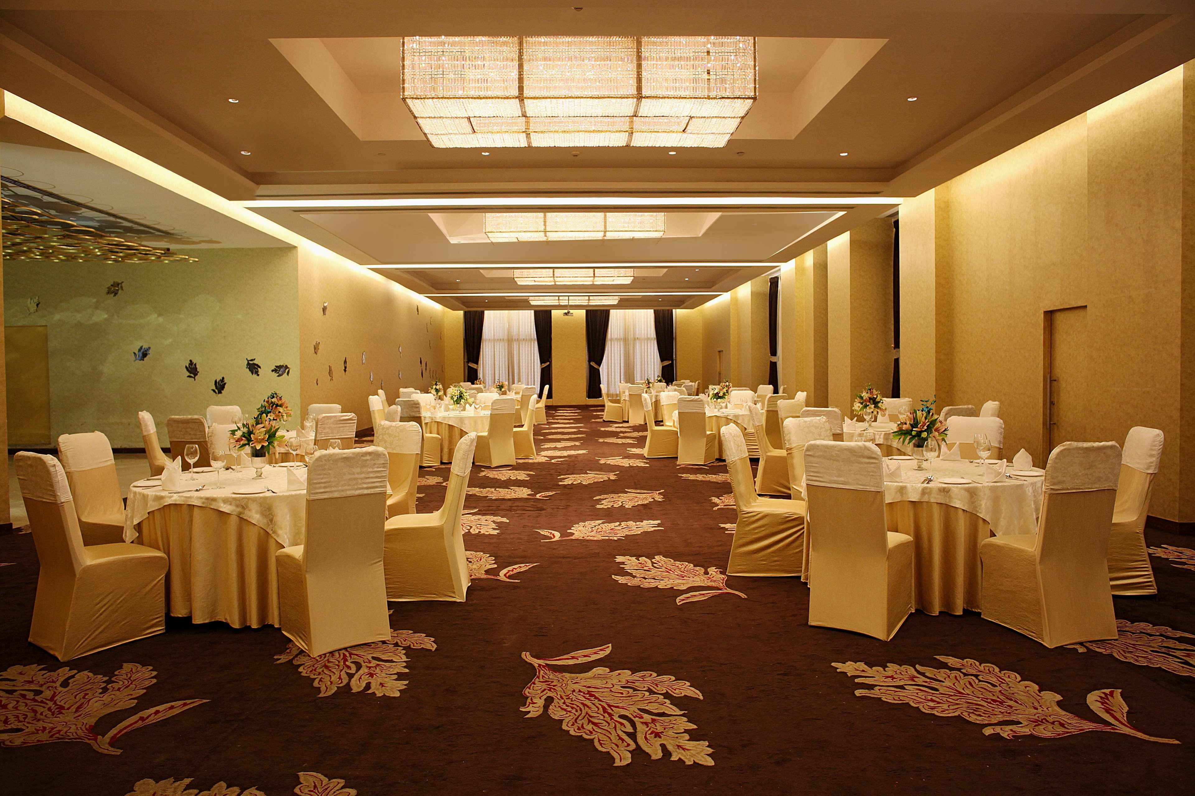 新德里德瓦卡丽笙酒店 外观 照片 The ballroom